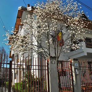 *** Гостевой дом La Noblesse Румыния